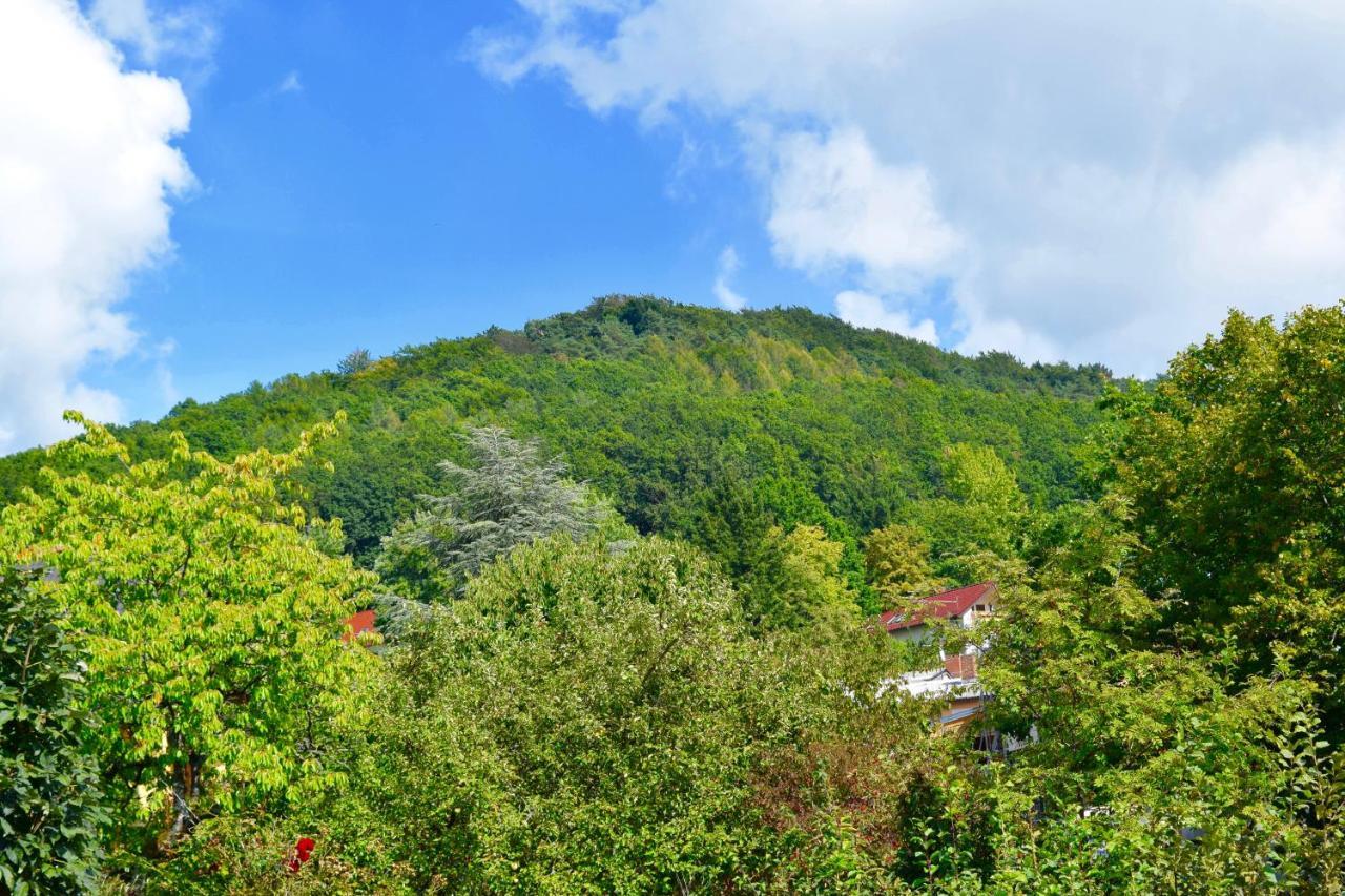 Ferienwohnung Am Geisberg 가이스펠드 외부 사진